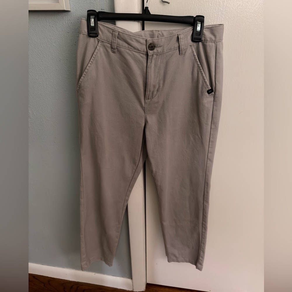 Light Taupe Classic Dress Pants